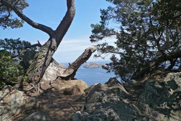 Port Cros - Ausblick